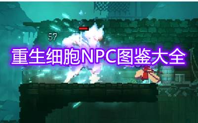 重生细胞有哪些NPC