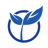考芽 ios版