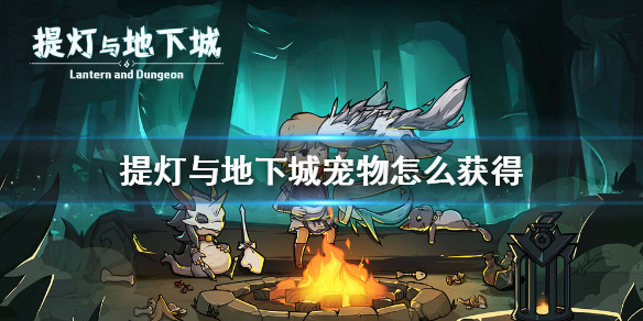 提灯与地下城宠物怎样获取