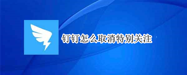 钉钉特别关注如何关