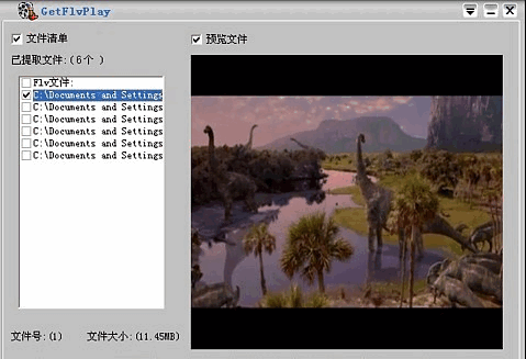 GetFlvPlay