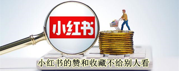 小红书收藏怎么隐藏