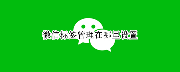微信标签管理怎么找