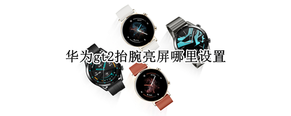 华为gt2抬腕亮屏如何开