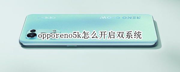 opporeno5k双系统在哪开