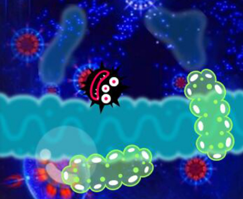 微生物模拟器细胞 ios版