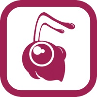 蚂蚁工具 ios版