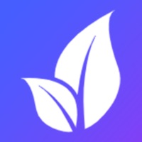 云茶商城 ios版