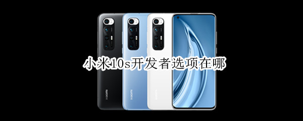 小米10s开发者选项怎么开