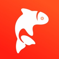 飞鱼优品 ios版