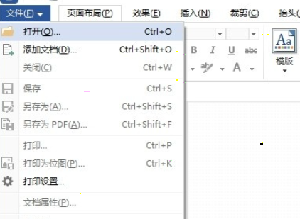 wpsPrinter