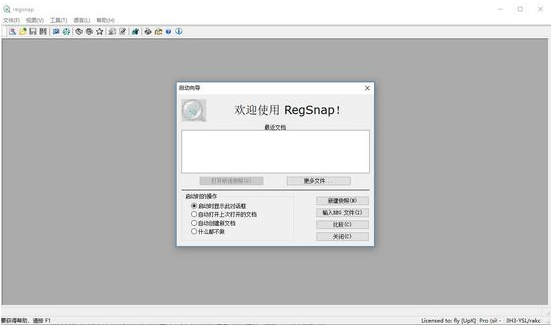 RegSnap