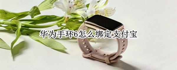 华为手环6如何绑定支付宝