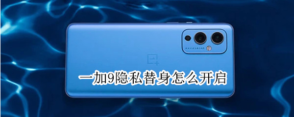 一加9怎么保护应用隐私