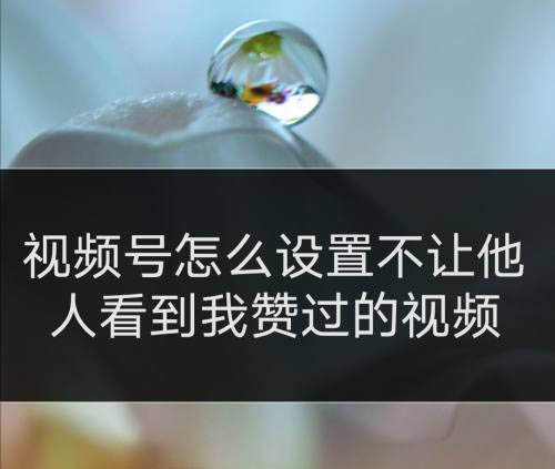 微信视频号如何不让好友看点赞视频