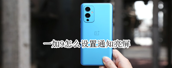 一加9通知亮屏在哪开启