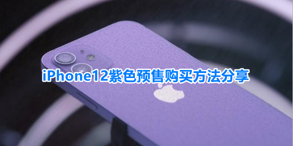 苹果12紫色预售购买方法分享