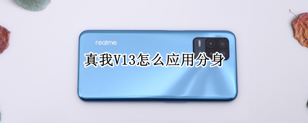 真我V13软件如何双开