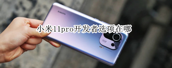 小米11pro怎么进入开发者选项