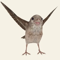 救救那小鸟 ios版