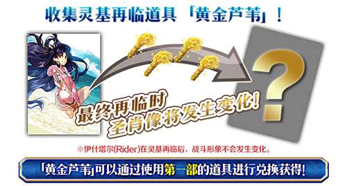 FGO黄金芦苇怎么获得 黄金芦苇获取兑换方法