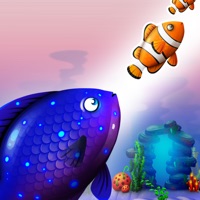 Fish King ios版