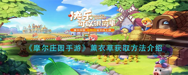 摩尔庄园手游薰衣草购买方法介绍