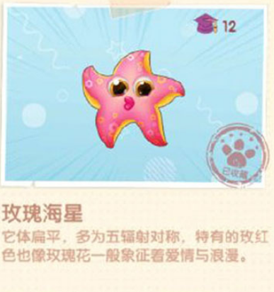 摩尔庄园手游玫瑰海星具体位置介绍