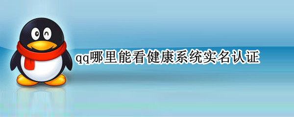 qq防沉迷真人认证查看方法介绍