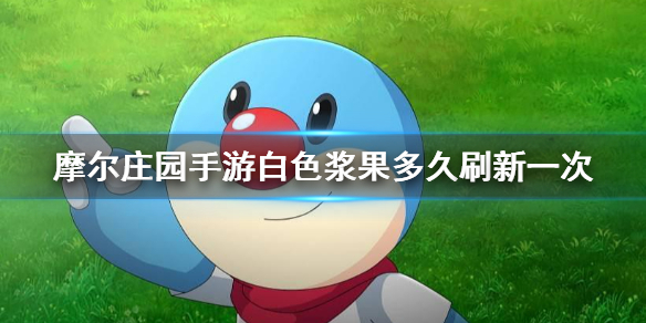 摩尔庄园白色浆果刷新时间是多久
