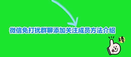 微信免打扰群聊添加关注成员方法介绍
