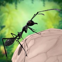 Ant Survival 3D ios版