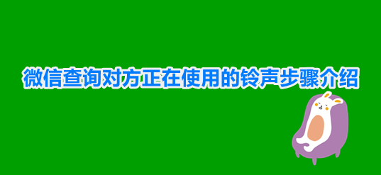 微信查询对方正在使用的铃声步骤介绍