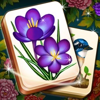 Mahjong Blossom+ ios版