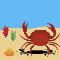 Crab ios版