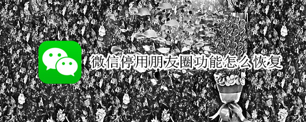 微信怎么恢复停用朋友圈功能