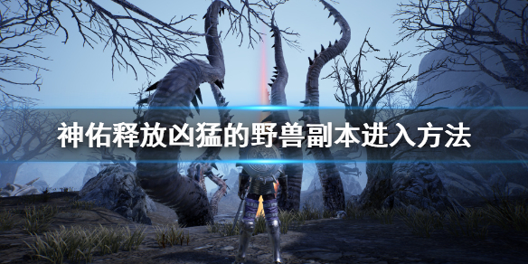 神佑释放凶猛的野兽副本怎么进