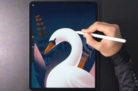 procreate pocket和procreate区别介绍