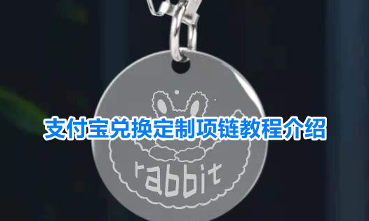 支付宝怎么定制项链