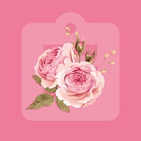 诚艺鲜花助手 ios版