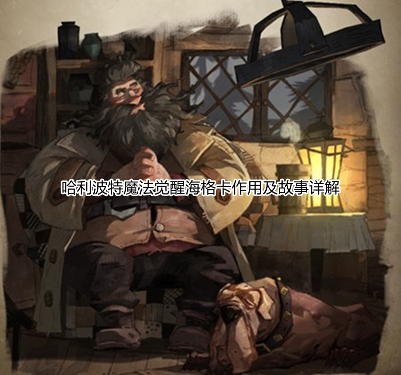 哈利波特魔法觉醒海格卡作用及故事详解
