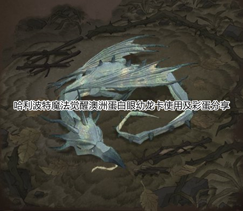 哈利波特魔法觉醒澳洲蛋白眼幼龙卡使用方法介绍