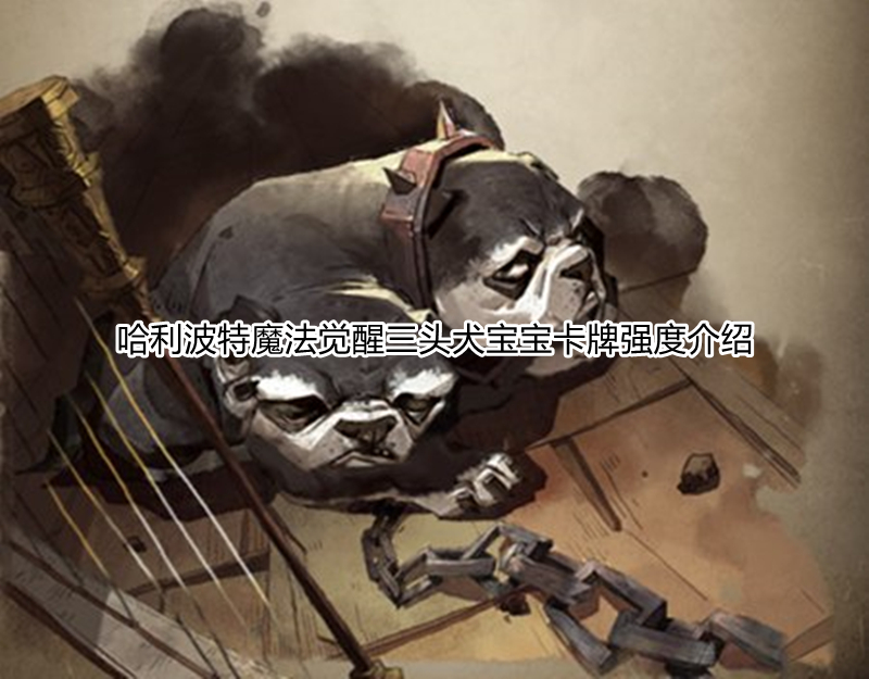 哈利波特魔法觉醒三头犬宝宝卡牌强度介绍