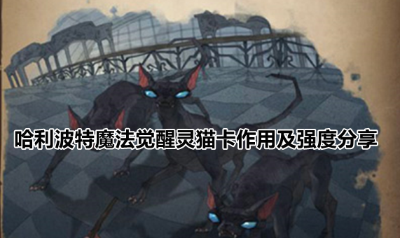 哈利波特魔法觉醒灵猫卡作用及强度分享