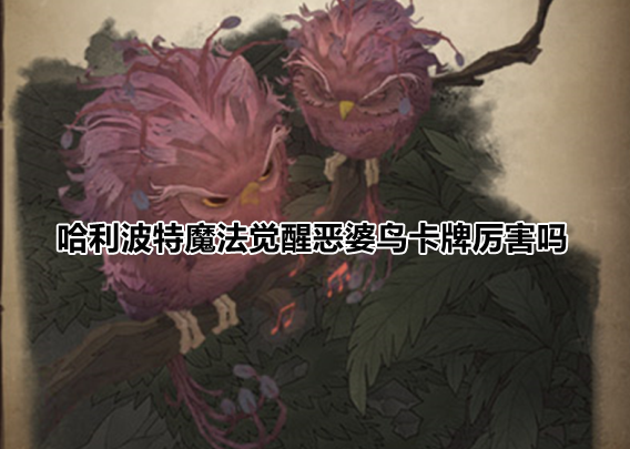 哈利波特魔法觉醒恶婆鸟卡牌厉害吗