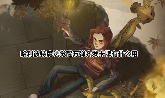 哈利波特魔法觉醒万弹齐发卡玩法及背景故事分享