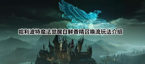 哈利波特魔法觉醒白鲜香精召唤流玩法介绍