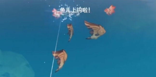 image.png