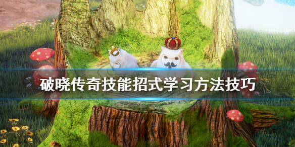 破晓传说怎么学技能