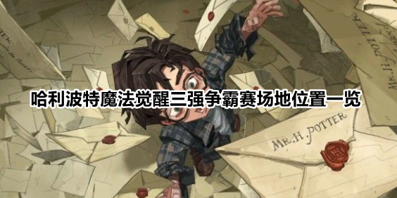 哈利波特魔法觉醒三强争霸赛拼图在哪